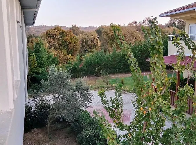 Orman icinde villada oda 1 *