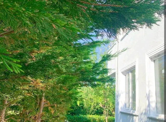 Oda ve Kahvaltı Orman icinde villada oda 1 *